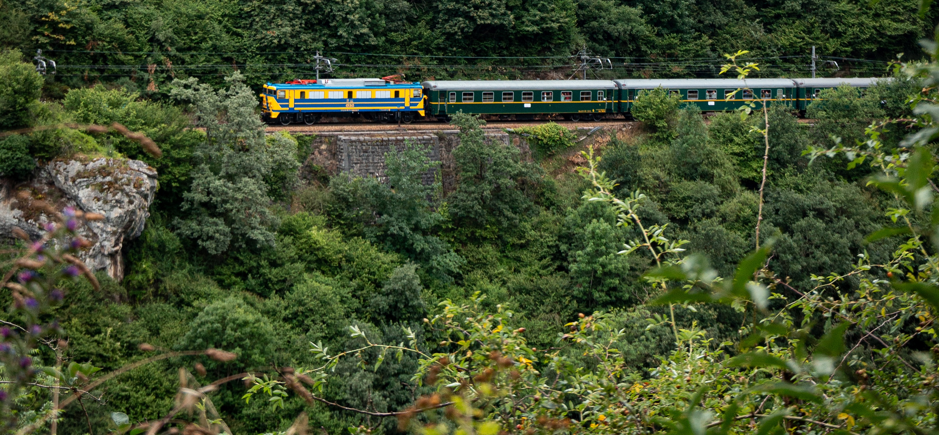 Ribera del Duero (Mad-Zam)