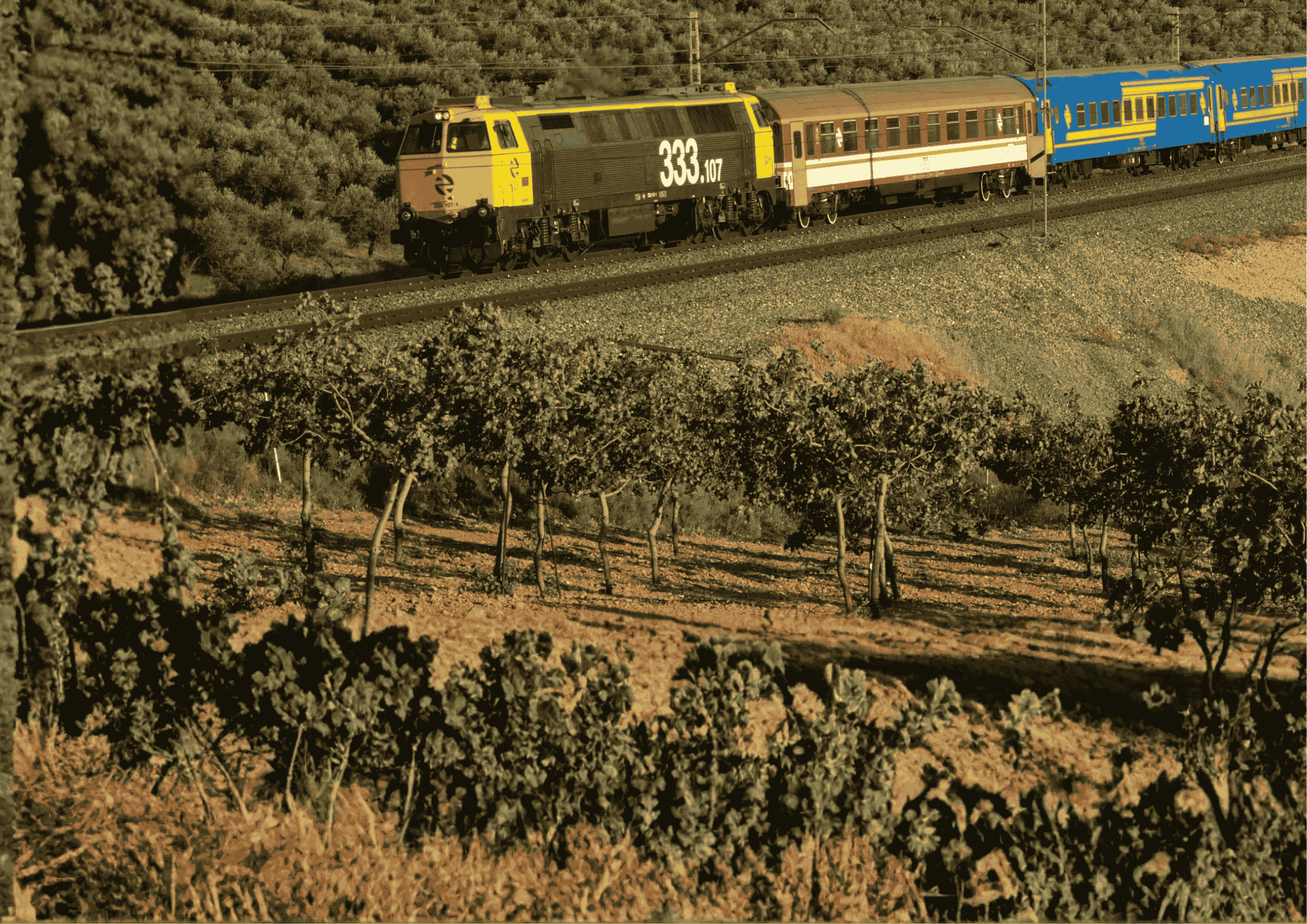 Sierra de Gredos (Cáceres-Valencia Alcántara)